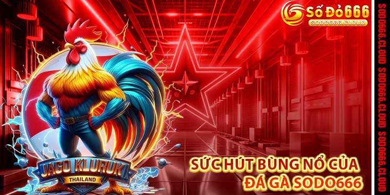Đá Gà Sodo666 – Đấu Trường Kịch Tính, Săn Thưởng Đỉnh Cao