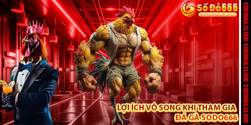 Đá Gà Sodo666 – Đấu Trường Kịch Tính, Săn Thưởng Đỉnh Cao