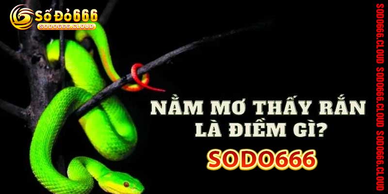 TIN TỨC - sodo666