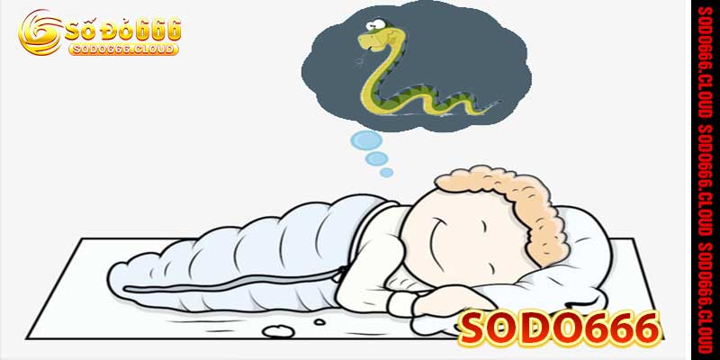 Nằm Mơ Thấy Rắn - Bí ẩn giấc mơ may mắn tại nhà cái Sodo666