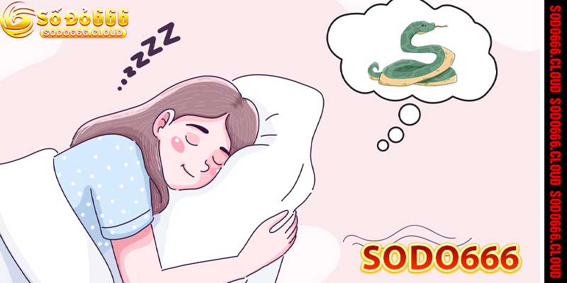 Nằm Mơ Thấy Rắn - Bí ẩn giấc mơ may mắn tại nhà cái Sodo666