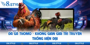 Đá Gà O8 - Sân Chơi Kịch Tính Với 500+ Trận Đấu Mỗi Ngày
